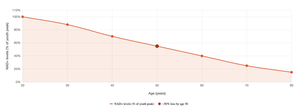 Line graph showing NAD+ levels declining with age — from 100% at age 20 to approximately 15% by age 80, with a 50% loss marked at age 50. 