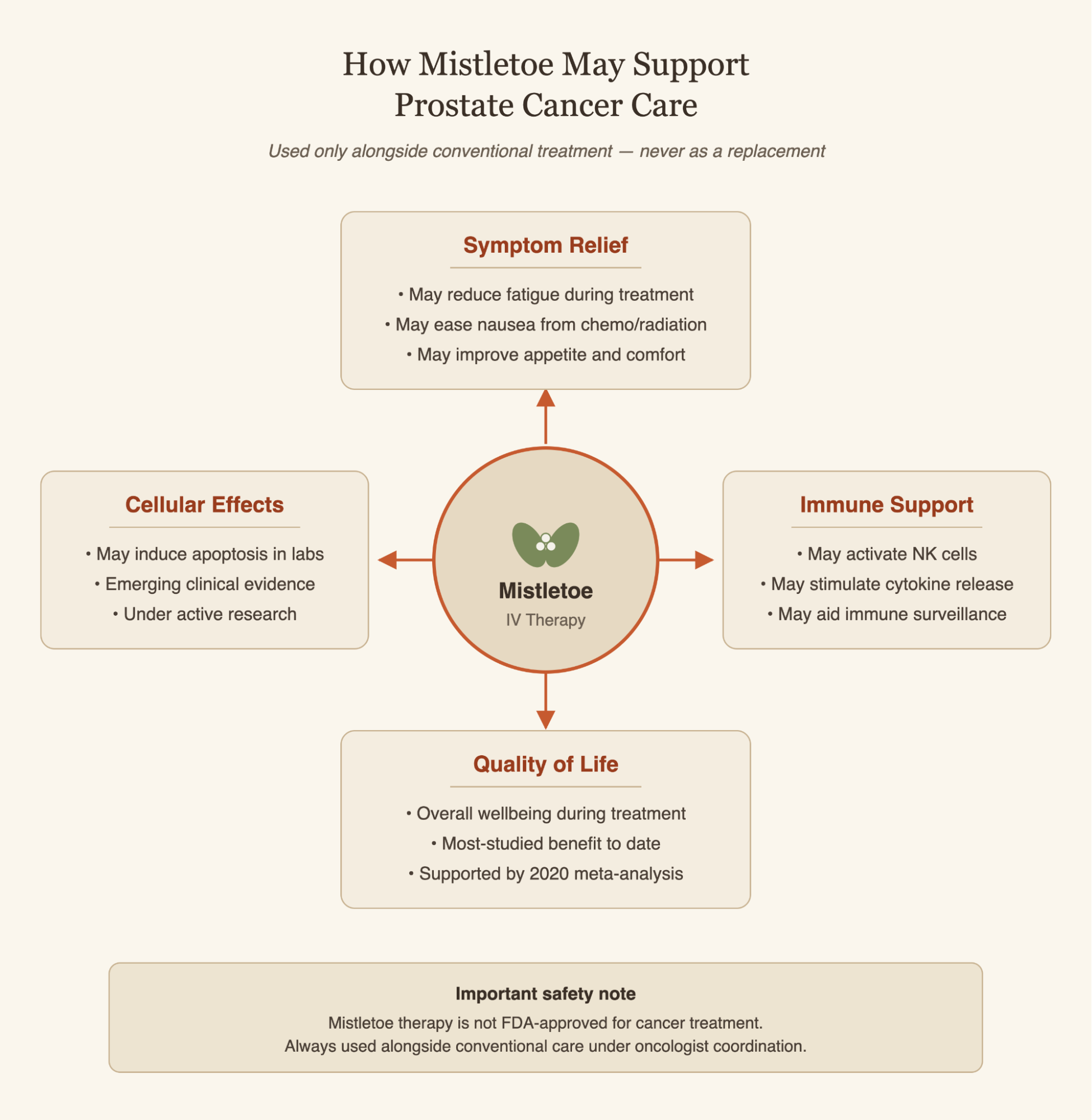 Infographic of how mistletoe may support prostate cancer care.