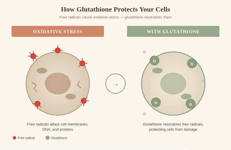 Glutathione Injections: Side Effects & Benefits