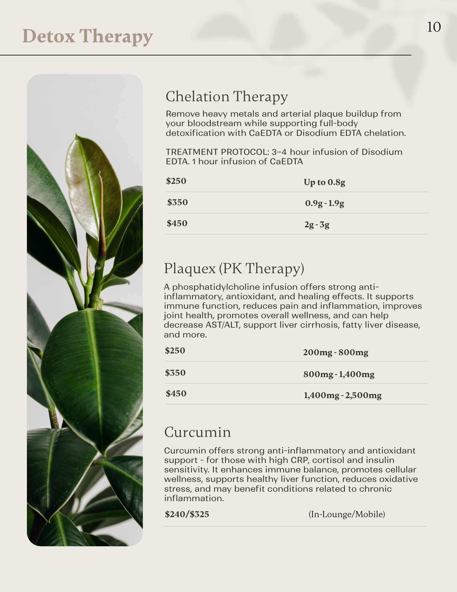 Advanced detox therapies including methylene blue, Poly-MVA, hydrogen peroxide IV, and curcumin infusions.