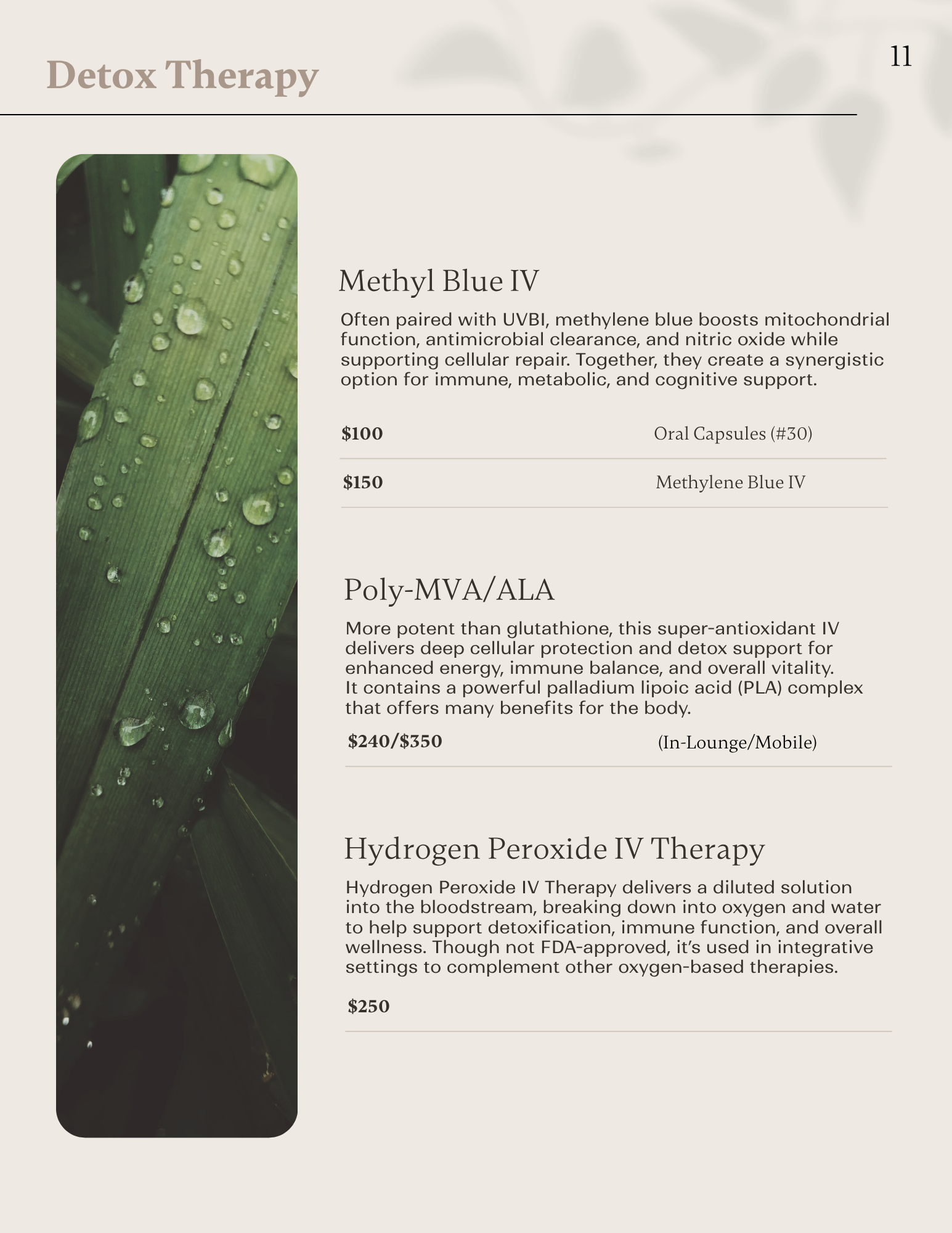 Advanced detox therapies including methylene blue, Poly-MVA, hydrogen peroxide IV, and curcumin infusions.