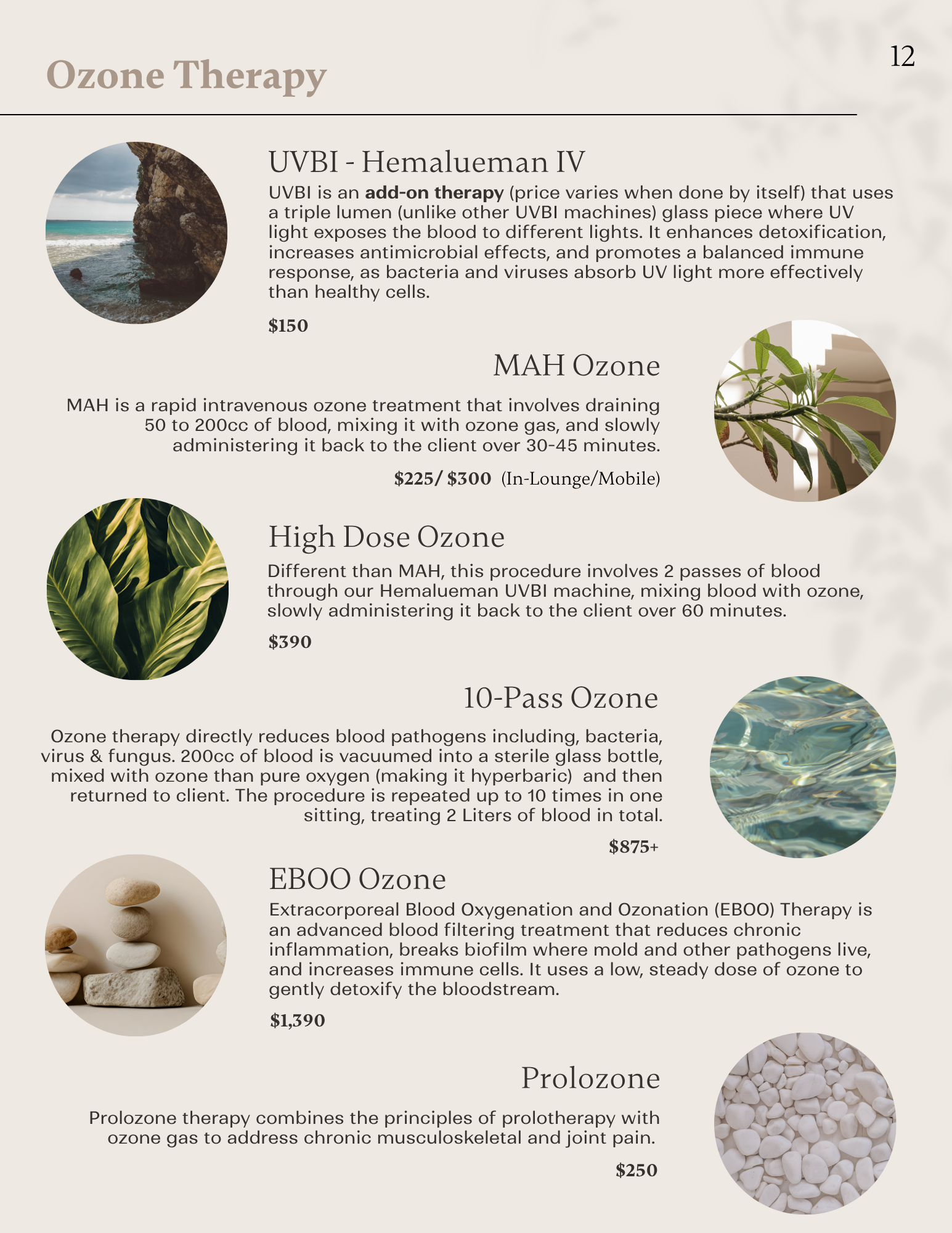 Ozone therapy menu outlining high-dose ozone, 10-pass ozone, EBOO, UVBI, MAH ozone, and prolozone treatments.