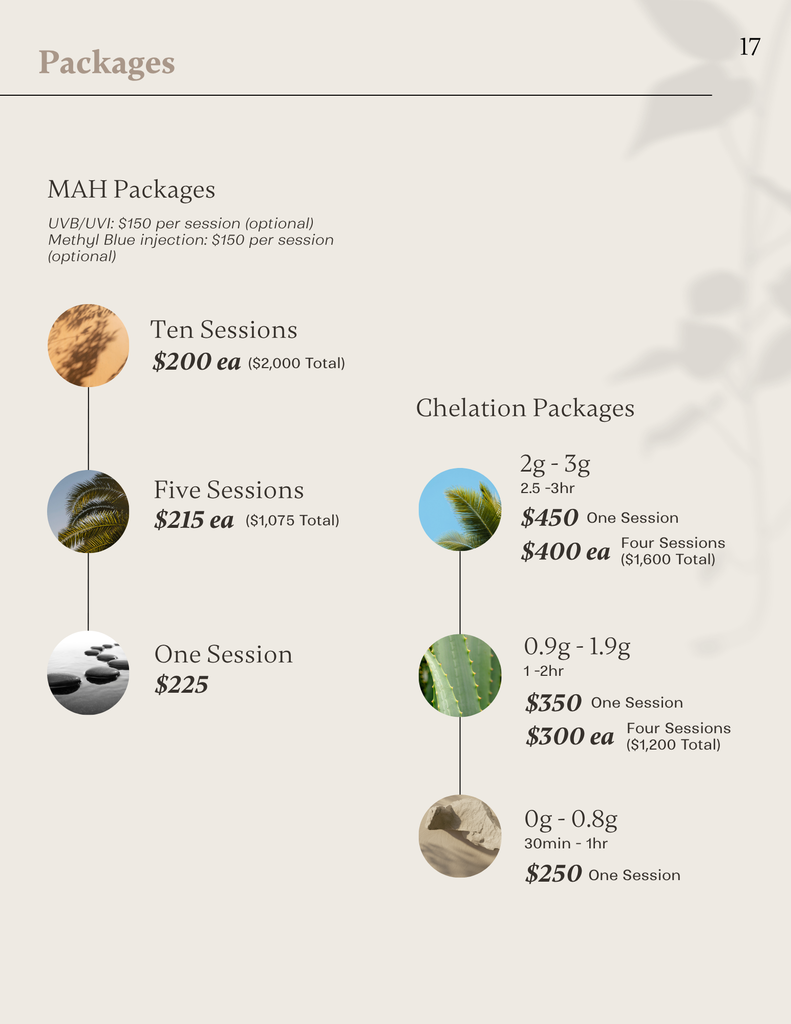Chelation therapy and MAH ozone package options with session pricing and protocols.