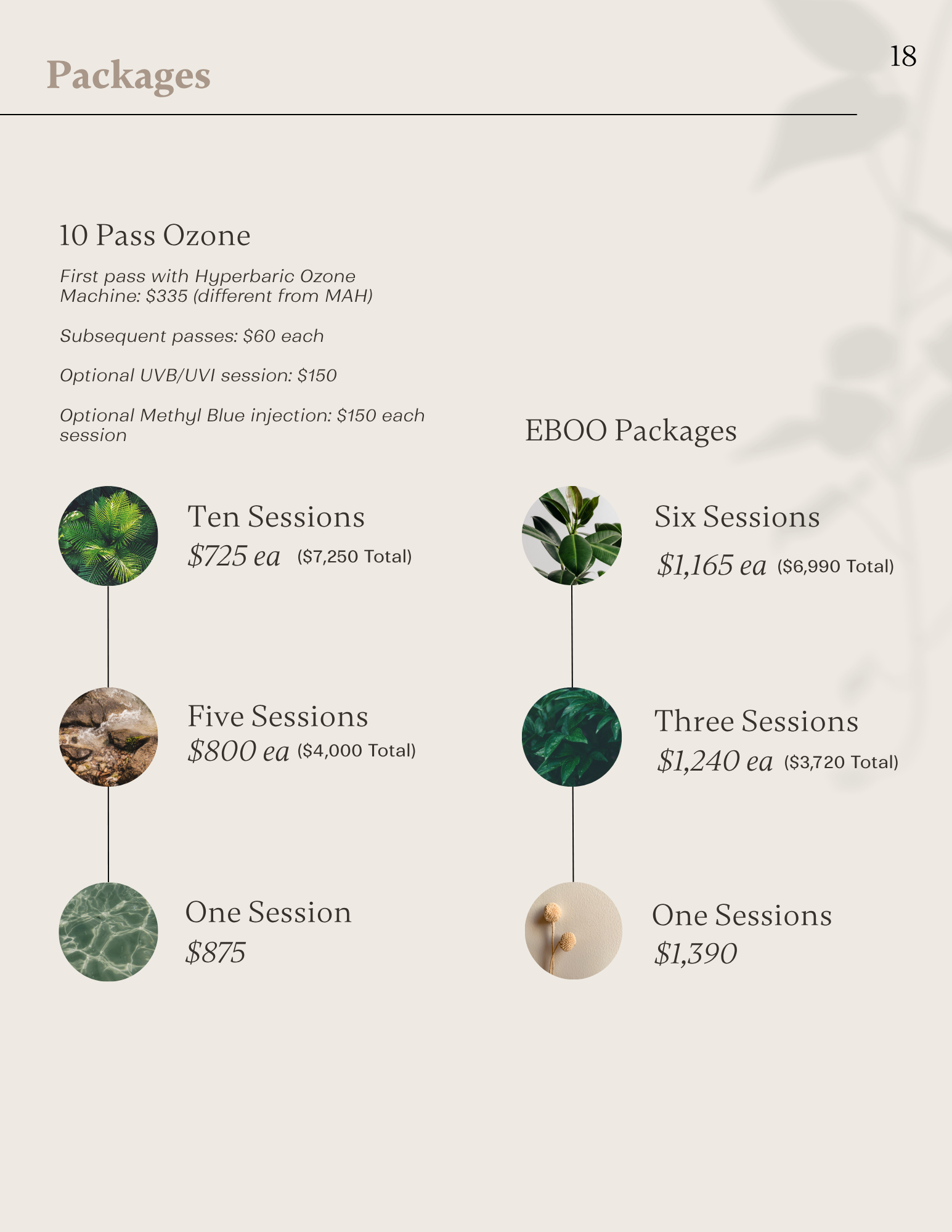Ozone therapy and EBOO package offerings with multi-session pricing options.