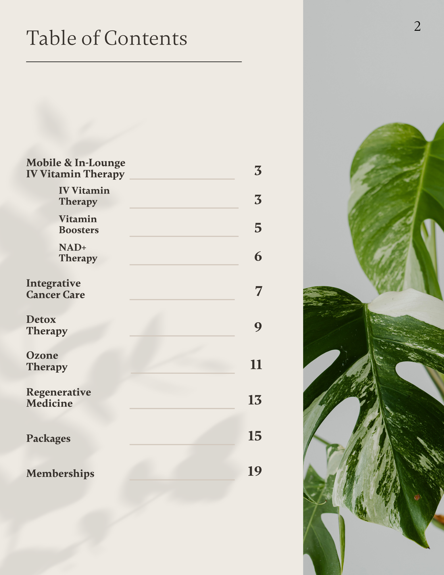 Table of contents for IV therapy and medical wellness treatments